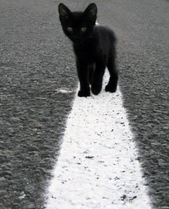 � ��������� ��-�� ����� ���� �� ������� ���� � ������